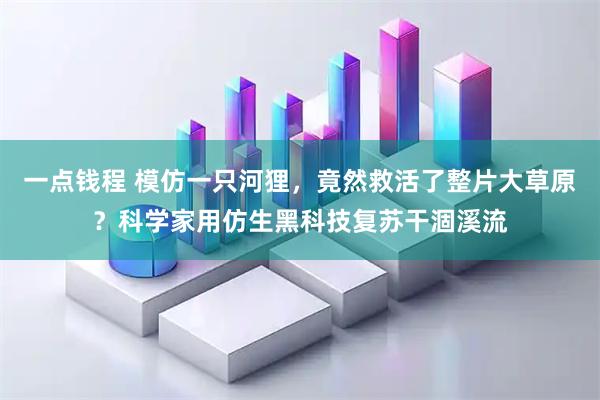 一点钱程 模仿一只河狸，竟然救活了整片大草原？科学家用仿生黑科技复苏干涸溪流
