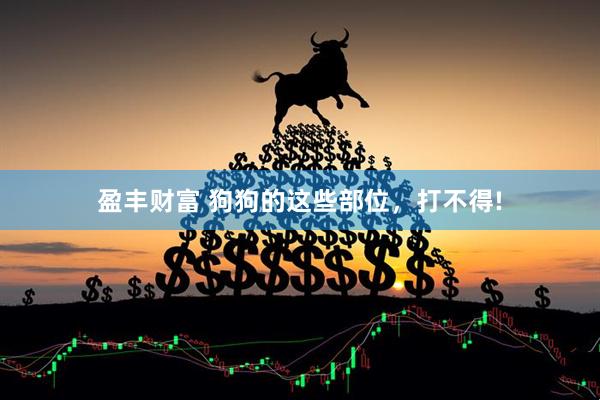 盈丰财富 狗狗的这些部位，打不得!